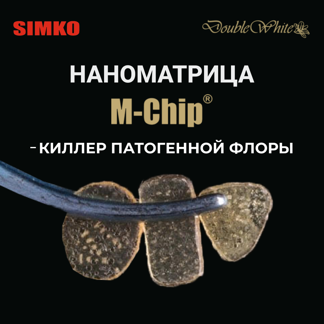 M-Chip — наноматрица нового поколения